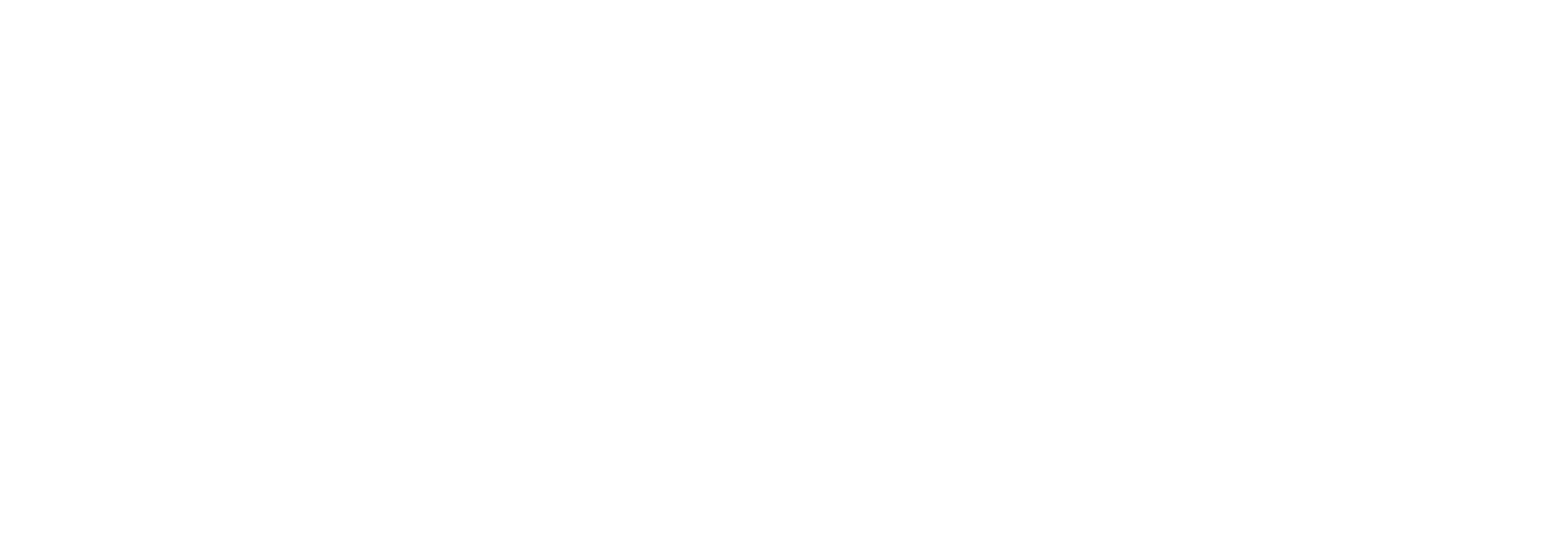 Zerebralab logo